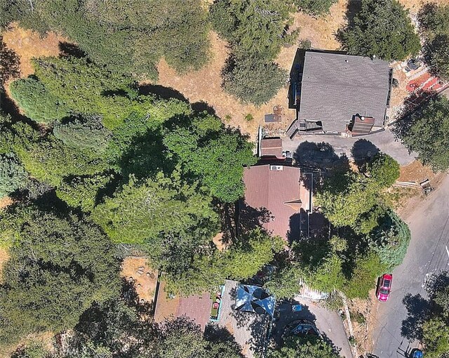 486 Thousand Pines Rd, Crestline, CA 92325 - photo 16