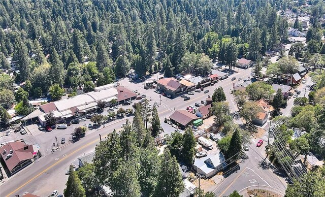 486 Thousand Pines Rd, Crestline, CA 92325 - photo 9