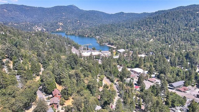 486 Thousand Pines Rd, Crestline, CA 92325 - photo 19