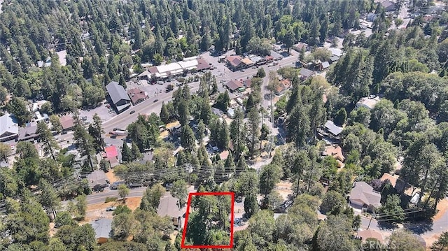 486 Thousand Pines Rd, Crestline, CA 92325 - photo 17