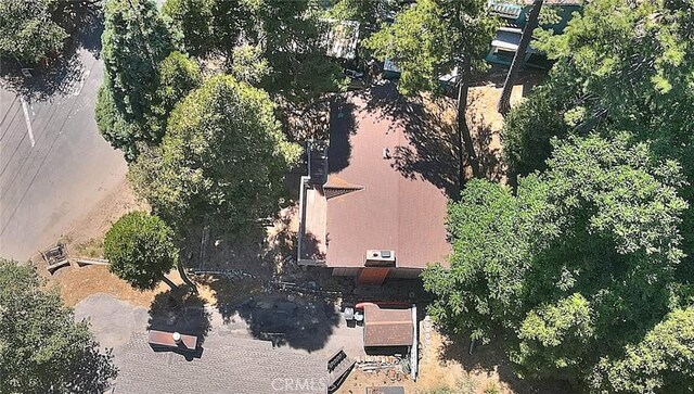 486 Thousand Pines Rd, Crestline, CA 92325 - photo 21
