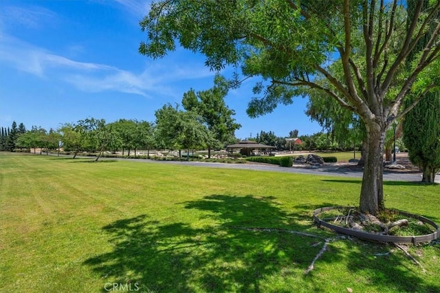 13715 E Nebraska Ave, Kingsburg, CA 93631 - photo 16