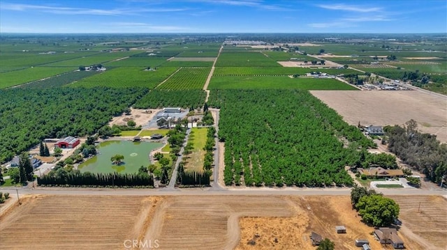 13715 E Nebraska Ave, Kingsburg, CA 93631 - photo 2