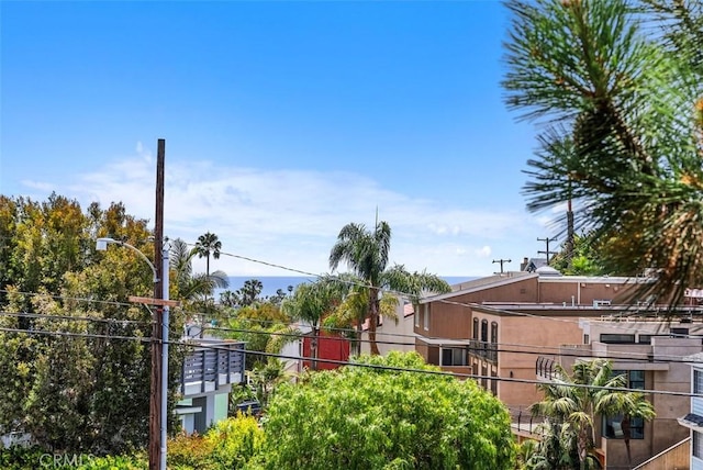 24512 Polaris Dr, Dana Point, CA 92629 - photo 32