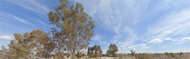 12263 Mountain Rd, Pinon Hills, CA 92372 - surrounding community