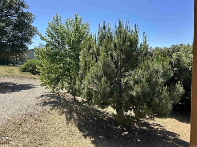 17412 Harrison Park Rd, Julian, CA 92036 - view of undeveloped land