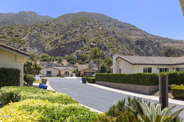 6089 San Dimas Ave, Camarillo, CA 93012 - photo 5