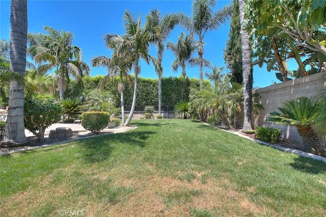 14182 Whitebark Ave, Chino, CA 91710 - view of yard