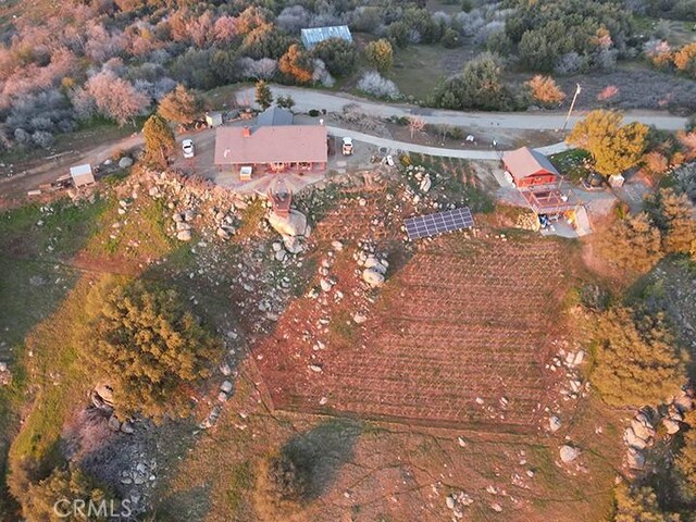 50806 Bramble Ln, Squaw Valley, CA 93675 - photo 67