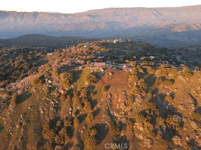50806 Bramble Ln, Squaw Valley, CA 93675 - photo 64