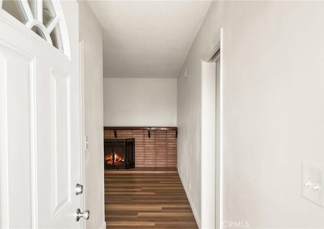 5561 Edita Ave, Westminster, CA 92683 - photo 12