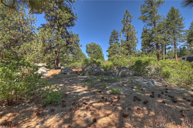 38606 Talbot, Big Bear Lake, CA 92315 - photo 18