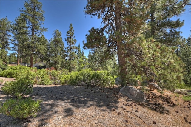 38606 Talbot, Big Bear Lake, CA 92315 - photo 15