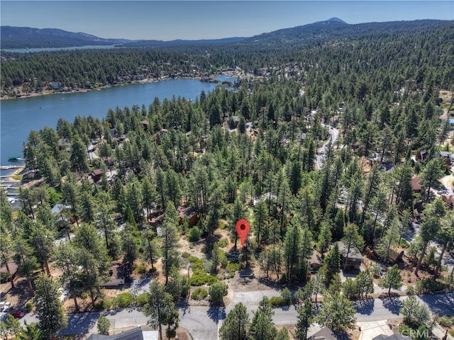 38606 Talbot, Big Bear Lake, CA 92315 - photo 3