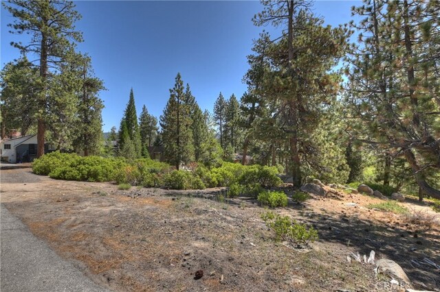 38606 Talbot, Big Bear Lake, CA 92315 - photo 14