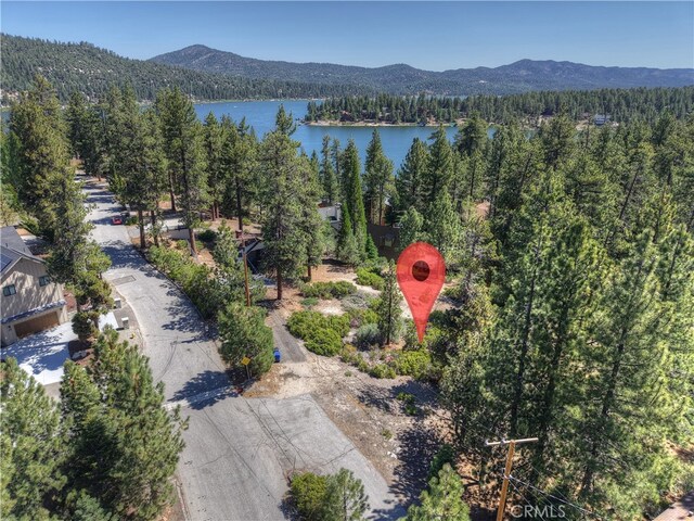 38606 Talbot, Big Bear Lake, CA 92315 - photo 10