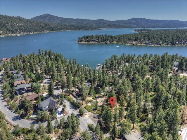 38606 Talbot, Big Bear Lake, CA 92315 - photo 4