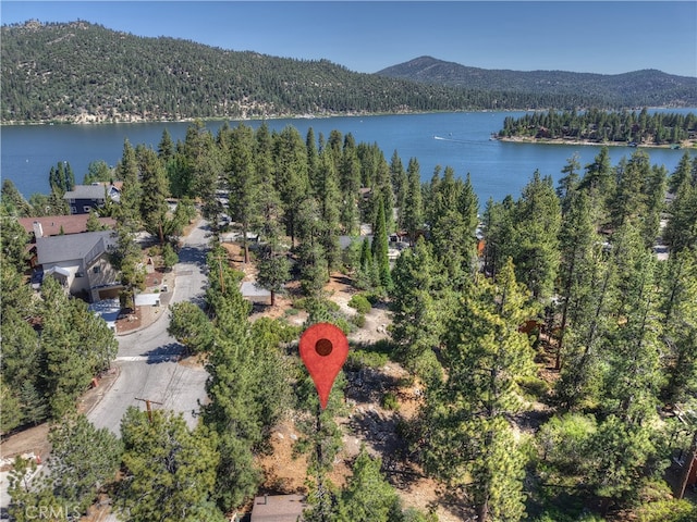 38606 Talbot, Big Bear Lake, CA 92315 - photo 9