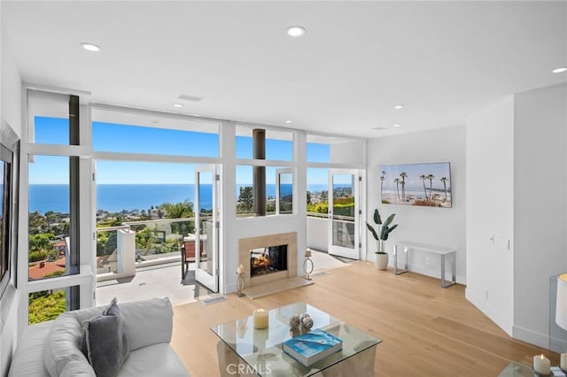 1061 Skyline Dr, Laguna Beach, CA 92651 - living area with plenty of natural light, a high end fireplace, wood finished floors, recessed lighting, and a water view