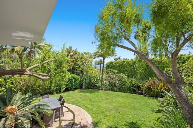 1061 Skyline Dr, Laguna Beach, CA 92651 - view of green lawn
