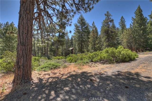 38602 Talbot, Big Bear Lake, CA 92315 - photo 15