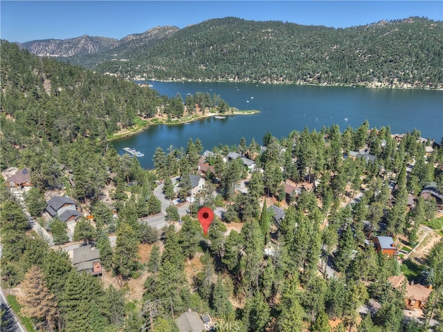 38602 Talbot, Big Bear Lake, CA 92315 - photo 7