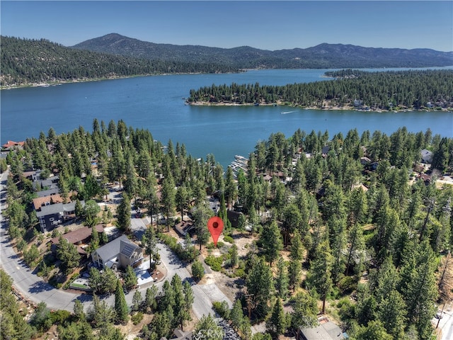 38602 Talbot, Big Bear Lake, CA 92315 - photo 5