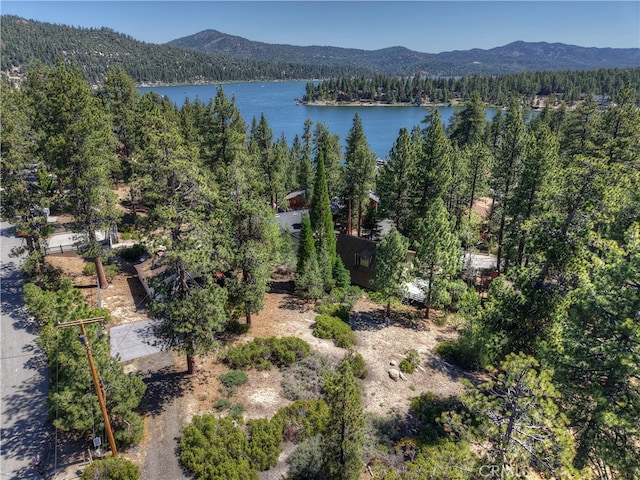 38602 Talbot, Big Bear Lake, CA 92315 - photo 10