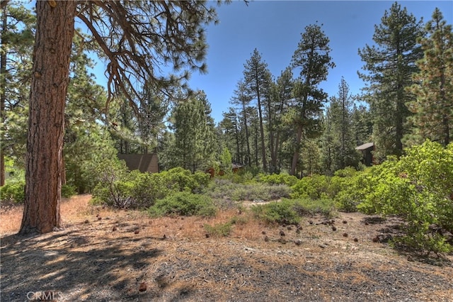 38602 Talbot, Big Bear Lake, CA 92315 - photo 14