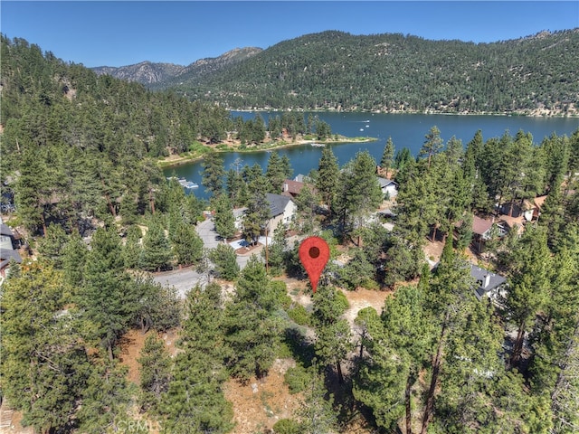 38602 Talbot, Big Bear Lake, CA 92315 - photo 8