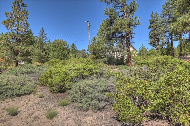 38602 Talbot, Big Bear Lake, CA 92315 - photo 17