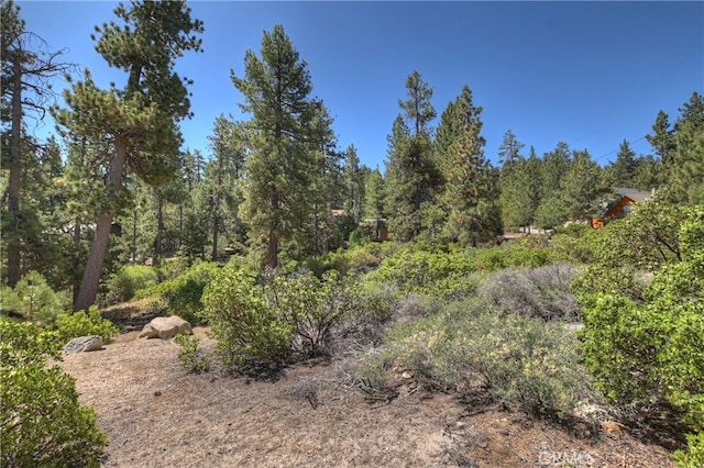 38602 Talbot, Big Bear Lake, CA 92315 - photo 16