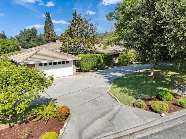 1811 Chantry Dr, Arcadia, CA 91006 - photo 4