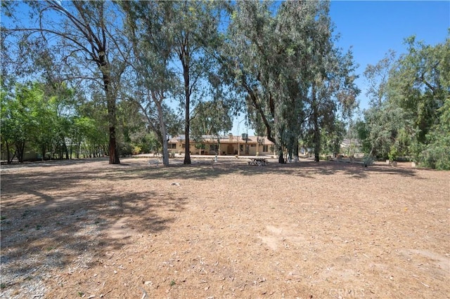 18561 Bert Rd, Riverside, CA 92508 - view of yard