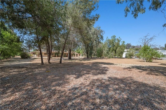 18561 Bert Rd, Riverside, CA 92508 - view of yard