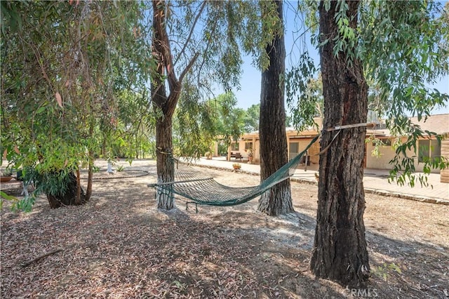 18561 Bert Rd, Riverside, CA 92508 - view of yard