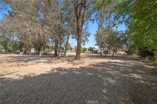 18561 Bert Rd, Riverside, CA 92508 - view of yard