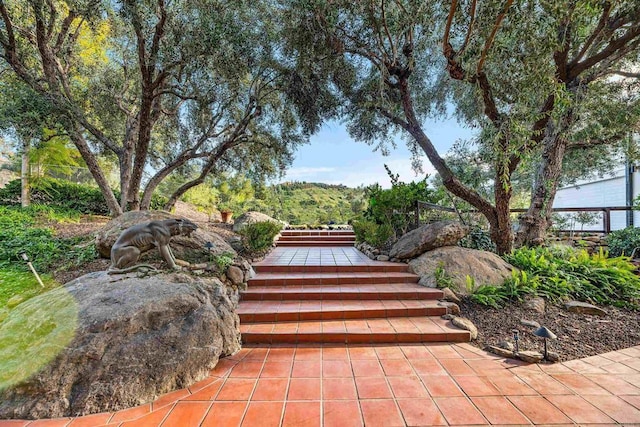 32423 Womsi Rd, Pauma Valley, CA 92061 - surrounding community with stairway