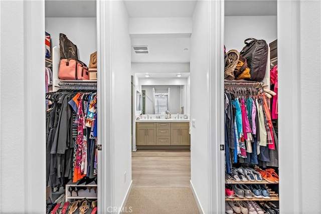 1309 Doheny Way, Dana Point, CA 92629 - spacious closet featuring a sink and light carpet