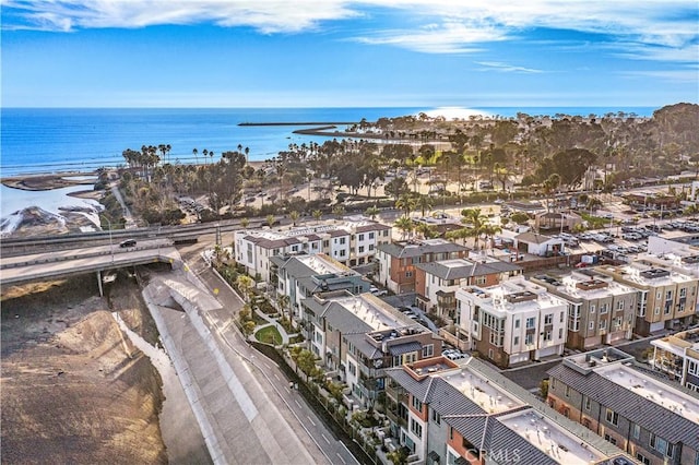 1309 Doheny Way, Dana Point, CA 92629 - bird's eye view of a nearby body of water