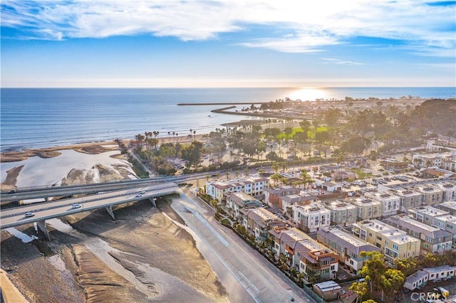 1309 Doheny Way, Dana Point, CA 92629 - bird's eye view of a large body of water