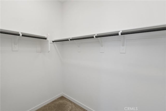 32813 Brunello Way, Temecula, CA 92591 - spacious closet with carpet floors
