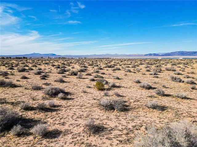 1000 Roy St, Hinkley, CA 92347 - photo 15