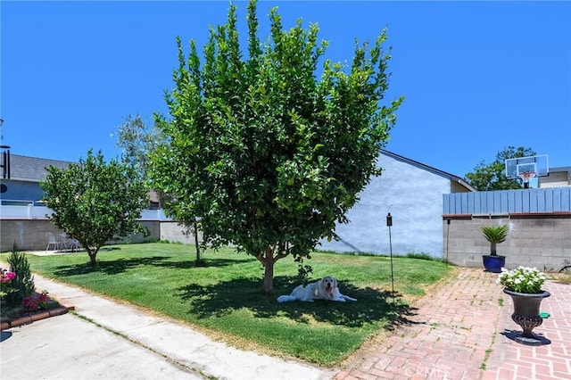 321 N Keystone St, Burbank, CA 91506 - photo 38