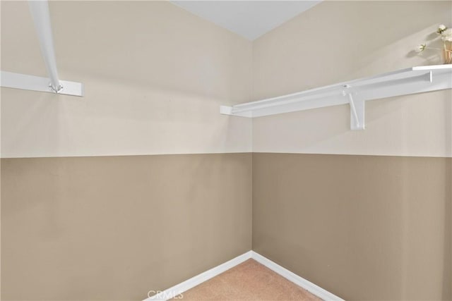 10361 Garden Grove Blvd Unit 17, Garden Grove, CA 92843 - walk in closet featuring light carpet