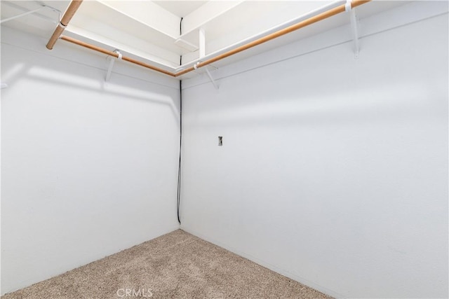 2911 Gilead Ln, Paso Robles, CA 93446 - walk in closet featuring carpet floors