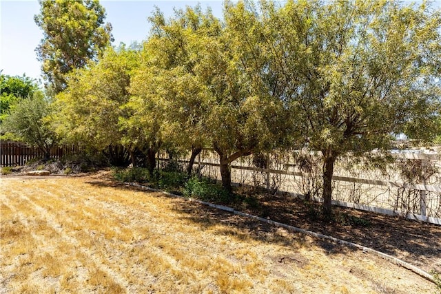 2911 Gilead Ln, Paso Robles, CA 93446 - view of yard
