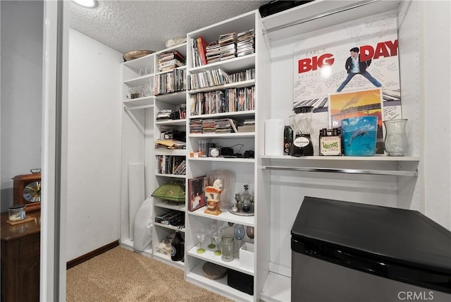 9349 Hartman Way, West Hills, CA 91304 - detailed view of carpet flooring and a textured ceiling