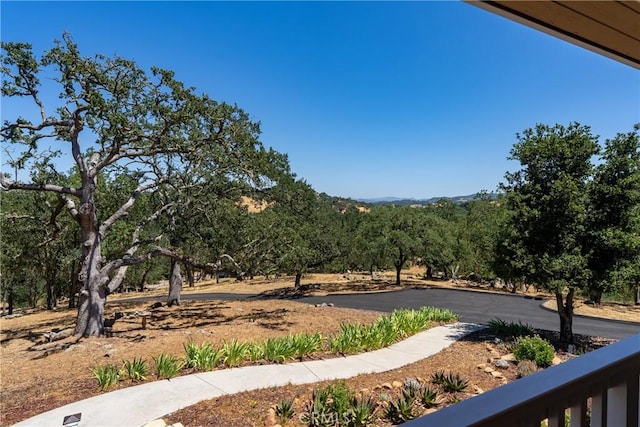 6600 San Gabriel Rd, Atascadero, CA 93422 - view of yard