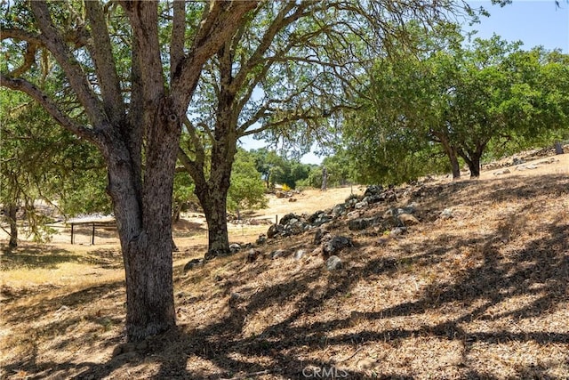 6600 San Gabriel Rd, Atascadero, CA 93422 - view of local wilderness
